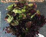 Foto del paso 1 de la receta: Ensalada con salsa de yogur 🥗