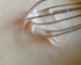 A picture of step 8 of Beans balls.