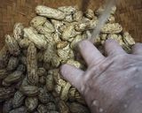 Foto langkah ke 1 dari resep Kacang tanah kukus.