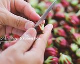 Hình bước làm 3 của món SI-RÔ ATISO ĐỎ | HOA LẠC THẦN