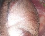 Foto langkah ke 1 dari resep Ikan Gurame Bakar.