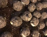 Foto del paso 4 de la receta: Albóndigas vegetarianas