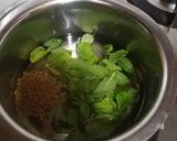 જીંજર મીન્ટ ઉકાળો (Ginger Mint Ukalo Recipe In Gujarati) રેસીપી સ્ટેપ1ફોટો
