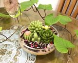 Hình bước làm 4 của món Chậu sen đá ăn được ^^