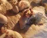 Foto del paso 3 de la receta: Liaditos de Queso