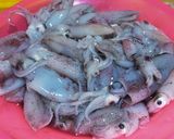Foto langkah ke 1 dari resep Oseng cumi hitam pedas.