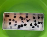 Foto langkah ke 4 dari resep Pudding Susu Cincau.
