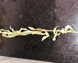 Foto del paso 1 de la receta: Infusión de cedrón