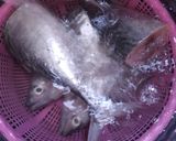 Foto langkah ke 1 dari resep Tongkol Suwir (Pedas).
