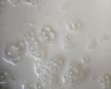 A picture of step 1 of Milk palp(kunun Madara).