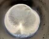 A picture of step 1 of Chilli Cheese Puri.