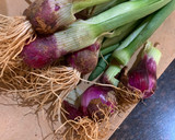 A picture of step 1 of Spring onion soup.