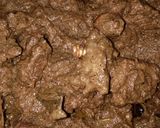Foto langkah ke 4 dari resep Rendang daging.