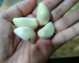 Foto langkah ke 1 dari resep Ayam goreng bawang putih simpel.