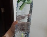 A picture of step 2 of Alkaline water.