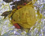 Foto langkah ke 4 dari resep Pepes Ayam Kemangi.