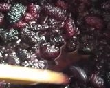 Foto del paso 2 de la receta: Dulce o Mermelada de Moras y Miel