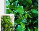 Hình bước làm 4 của món Bánh KHỌT ngày mưa