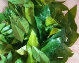 Hình bước làm 2 của món Chim chao lá mắc mật