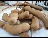 A picture of step 1 of Tamarind/ ukwaju #local food contest Nairobi north area.