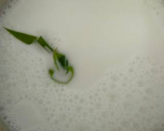 265. Puding Cendol - Step 1