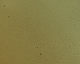 A picture of step 1 of RIKYU（利休) Mile crepe cakes.