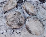 Foto del paso 3 de la receta: Tortillas al rescoldo