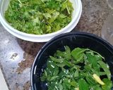 पुदीना चटनी (Pudina chutney recipe in Hindi) रेसिपी चरण 1 फोटो