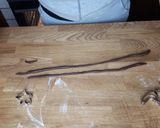 Foto del passaggio 10 della ricetta Pandizenzero al cioccolato bianco e nocciole