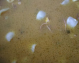 Foto del paso 3 de la receta: Arroz con chipirones y bonito