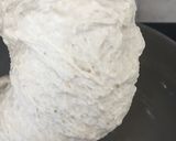 Rozmaringos tönköly zsúr recept fázis 1 fotója