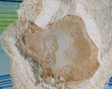 Foto del paso 2 de la receta: Masa de tarta integral con aceite