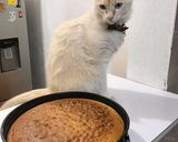 Foto del paso 7 de la receta: Pan de naranja