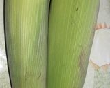 Foto del paso 1 de la receta: Humitas