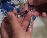 Foto del paso 2 de la receta Boquerones en vinagre