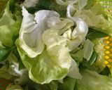 Hình bước làm 2 của món Bún chả giò
