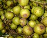 Hình bước làm 1 của món Quả Sung Muối Xổi