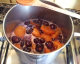 Foto del paso 1 de la receta Helado exquisito de cerezas y albaricoques (damascos) muy fácil