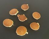 Gambar langkah 4 resipi Baby Pancake Apricot.