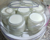 Foto del paso 2 de la receta: ~Yogurt griego~