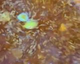 A picture of step 2 of Spices Kadha winter bliss..!.