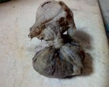 A picture of step 19 of Mutton Pulao.