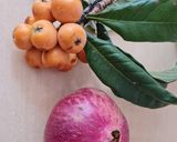 Foto del paso 1 de la receta: Licuado antioxidante de nísperos y granada