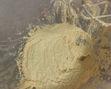 Foto del paso 2 de la receta: Torta de nueces