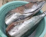 Foto langkah ke 1 dari resep 22. Orak-Arik Ikan Tongkol Cakalang.