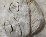 Foto langkah ke 5 dari resep Country Loaf Sourdough Bunga Telang.