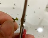 維尼造型吐司的食譜步驟2照片