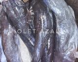 Foto langkah ke 2 dari resep Karondam/Peca Khas Dayak Ngaju ala Violet Azalea.
