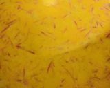 A picture of step 7 of Gajrella - Gajraela (gajar ki kheer).