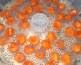 Foto langkah ke 11 dari resep 127.Puding Lapis Pepaya.
